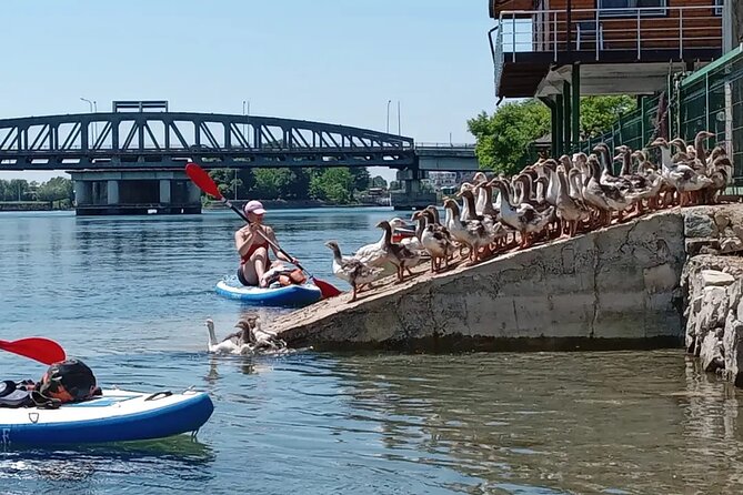 Stand Up Paddle Board or Kayak Rental in Shkodër - Meeting and Pickup Details