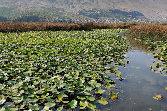 Stand Up Paddle Board or Kayak Rental in Shkodër - Booking Information