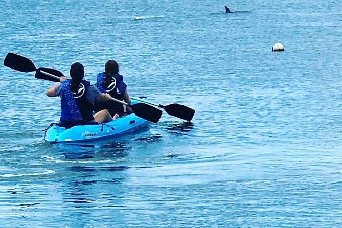 Stand Up Paddle Board Rental - Paddle Board Rental Options