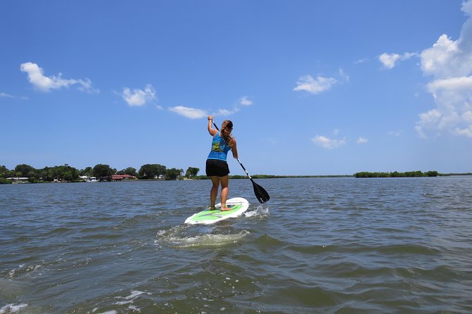 Stand Up Paddle Board Rental in Rose Bay - Rental Details