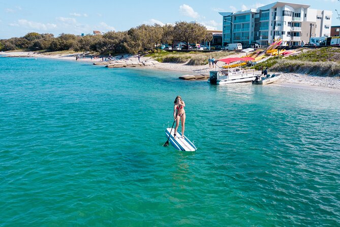 Stand Up Paddle Board Rental in Sunshine Coast - Wildlife and Activities