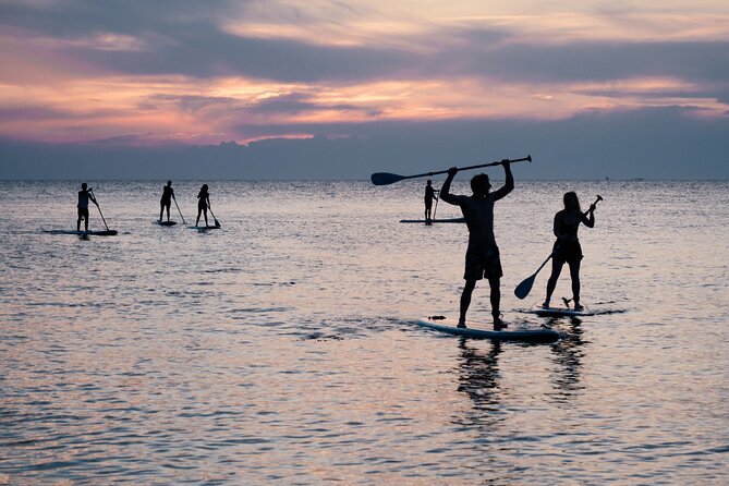 Stand Up Paddle Boarding Adventure in Pula - Reviews and Ratings