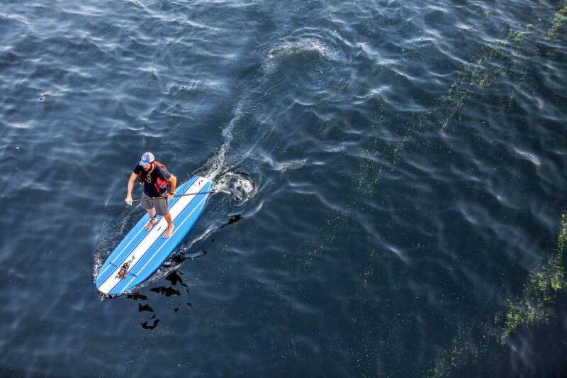 Stand Up Paddle Boarding in Trincomalee - Unique Vantage Point