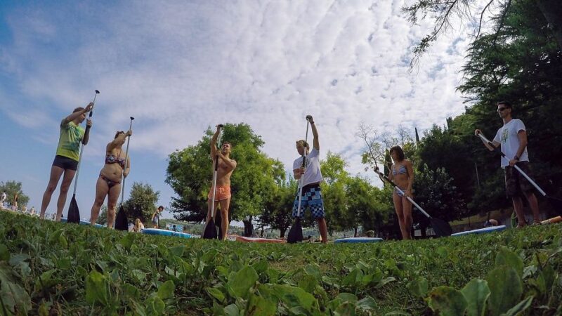 Stand up Paddle Course on the Slovenian Coast - Experience Details