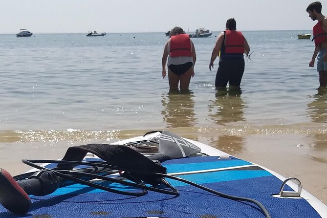 Stand up Paddle Experience at Portinho Da Arrábida - Highlights of the Paddle Journey