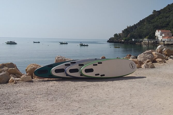 Stand up Paddle Experience at Portinho Da Arrábida - Health and Accessibility Considerations