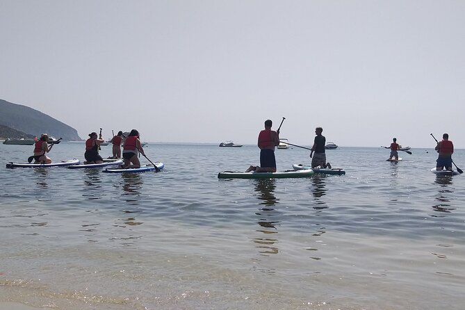 Stand up Paddle Experience at Portinho Da Arrábida - Why Choose This Stand Up Paddle Experience