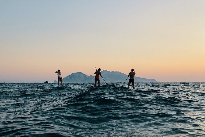 Stand Up Paddle Experience - Sorrento Coast - Schedule and Availability