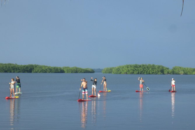 Stand up Paddle in Paradise - Overview of the Experience