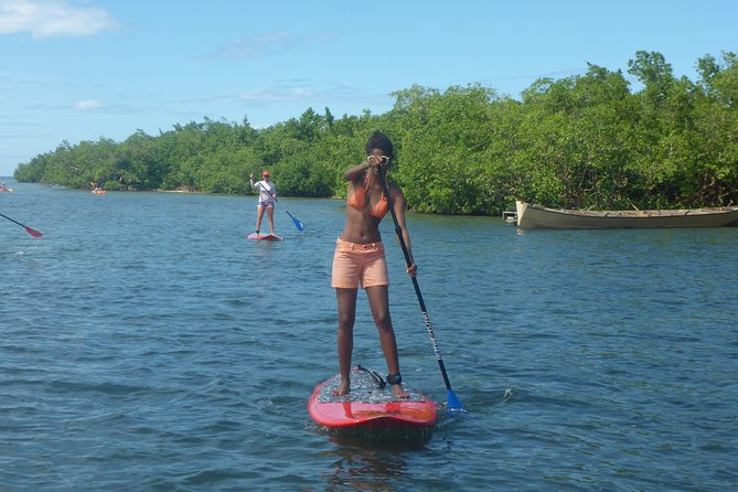 Stand up Paddle in Paradise - Accessibility and Restrictions