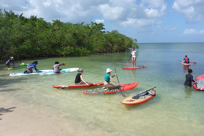 Stand up Paddle in Paradise - Meeting Point and Start Time
