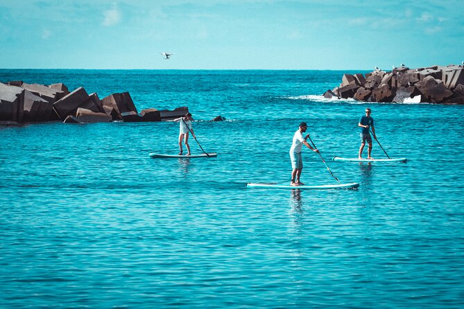 Stand Up Paddle Private Lesson in Calheta Beach - Reviews and Ratings