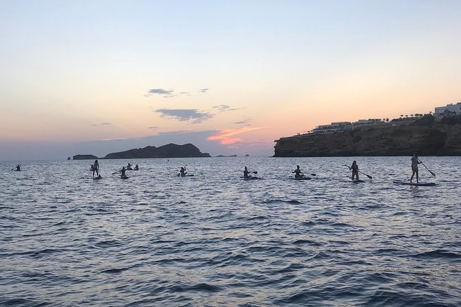 Stand Up Paddle Surf Sunset Tour - Participant Requirements