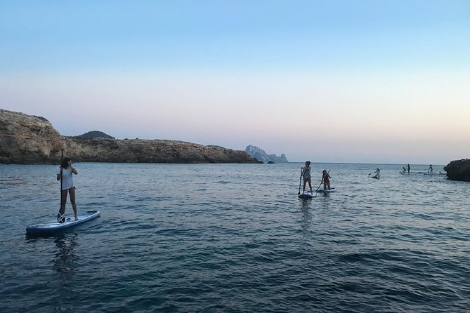 Stand Up Paddle Surf Sunset Tour - Reviews and Ratings