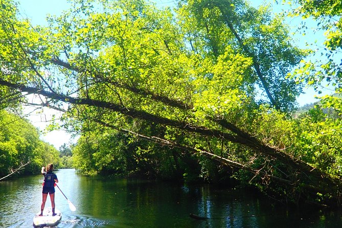 Stand Up Paddle Tour - Participation Guidelines