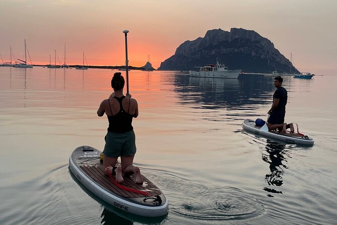 Stand Up Paddle Tour Dolphins Experience Golfo Aranci - Key Points