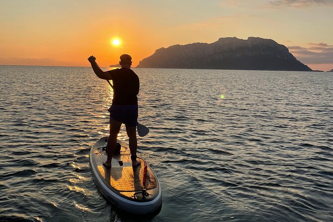 Stand Up Paddle Tour Dolphins Experience Golfo Aranci - Meeting and Logistics