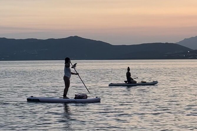 Stand Up Paddle Tour Dolphins Experience Golfo Aranci - Additional Information