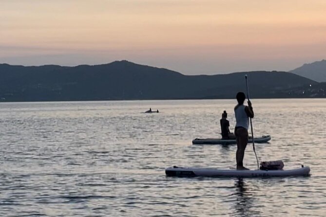 Stand Up Paddle Tour Dolphins Experience Golfo Aranci - Aperitif at Sunset