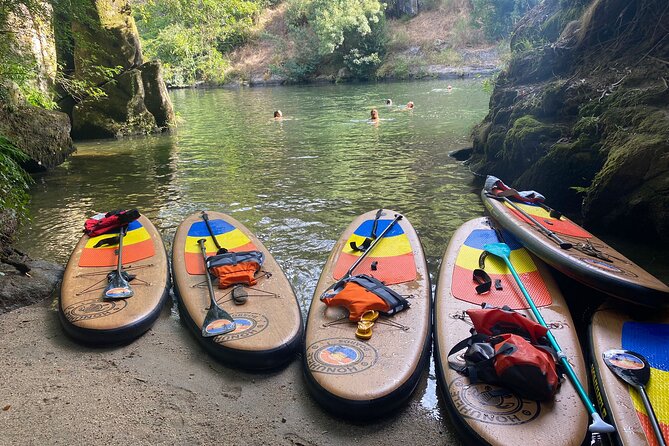 Stand-Up-Paddle Tour in Paiva River - Good To Know