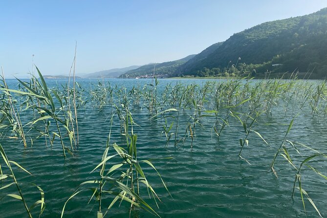 Stand-Up-Paddle Tour on Lake Ohrid - Booking Details and Cancellation