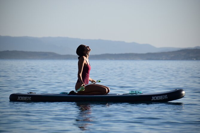 Stand Up Paddle With Dolphins - Highlights of the Experience