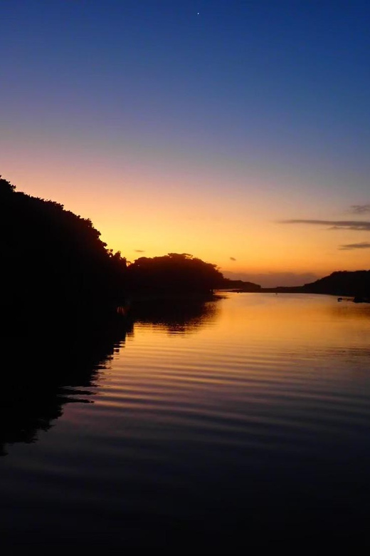 Stand Up Paddleboard: Amazing Sunrise at Mangrove River - Meeting Point and Time