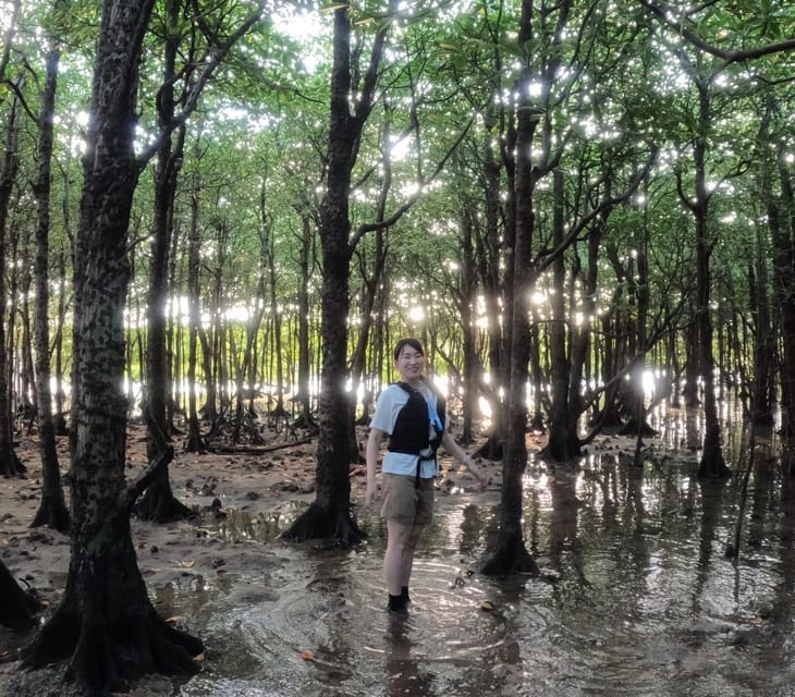 Stand Up Paddleboard: Amazing Sunrise at Mangrove River - SUP Equipment and Inclusions