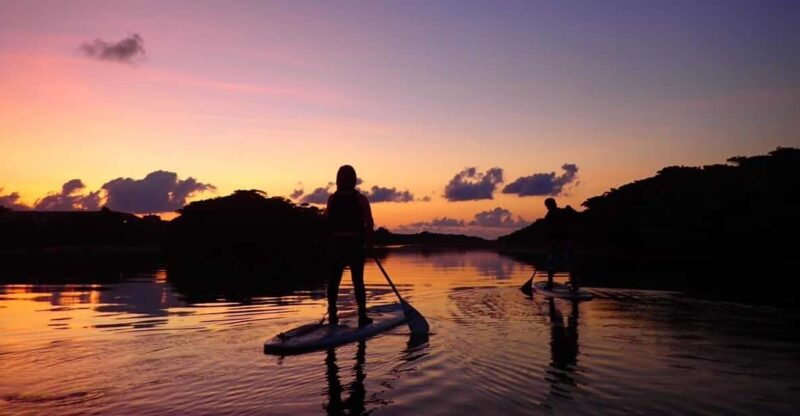 Stand Up Paddleboard: Amazing Sunrise at Mangrove River - Restrictions and Requirements