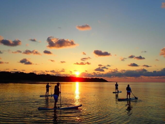 Stand Up Paddleboard: Amazing Sunrise at Mangrove River - Seasonal Adjustments