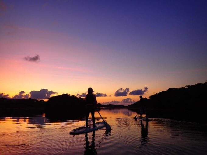 Stand Up Paddleboard: Amazing Sunrise at Mangrove River - Communication and Booking Details
