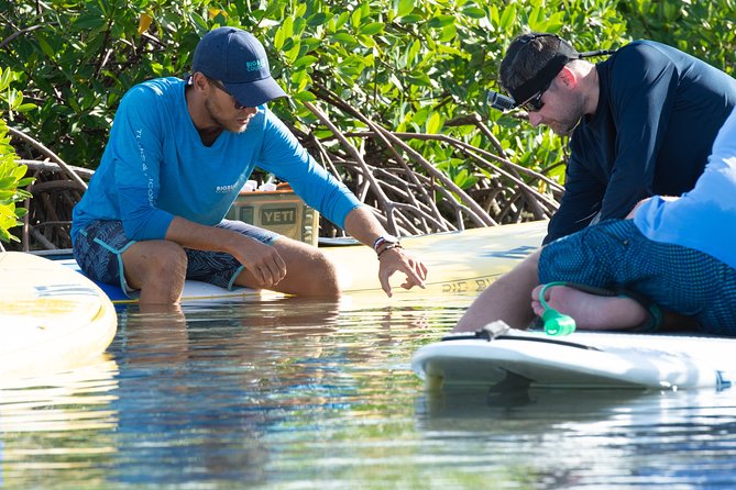 Stand up Paddleboard Eco Tour - Inclusions