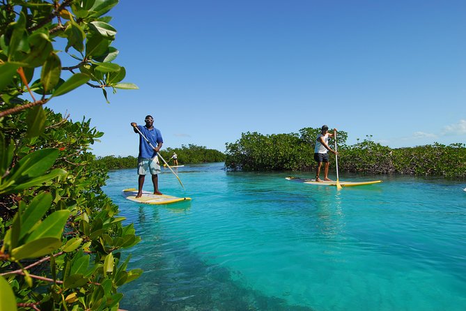 Stand up Paddleboard Eco Tour - Additional Information