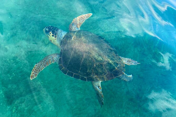 Stand-up Paddleboard Lazareta Experience Chania Crete (tour) - Inclusions and Amenities