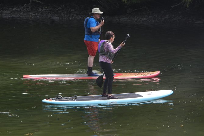 Stand up Paddleboard Tour With Complimentary Oyster Tasting - Native Wildlife and Local History