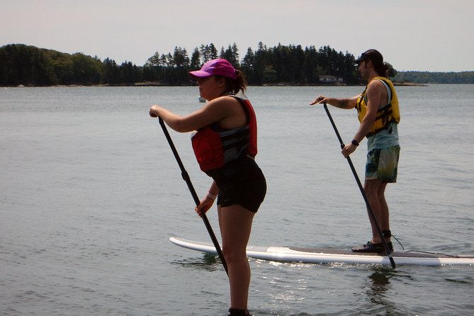 Stand up Paddleboard Tour With Complimentary Oyster Tasting - Health and Safety Requirements