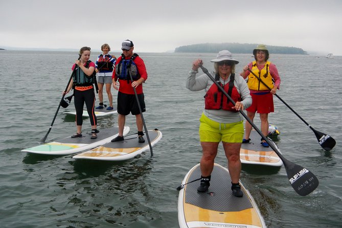 Stand up Paddleboard Tour With Complimentary Oyster Tasting - Native Wildlife and Local History
