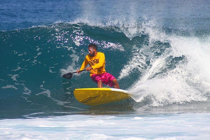 Stand up Paddleboarding - Semi-Private Lessons With Pro Coach - Waikiki, Oahu - Key Points
