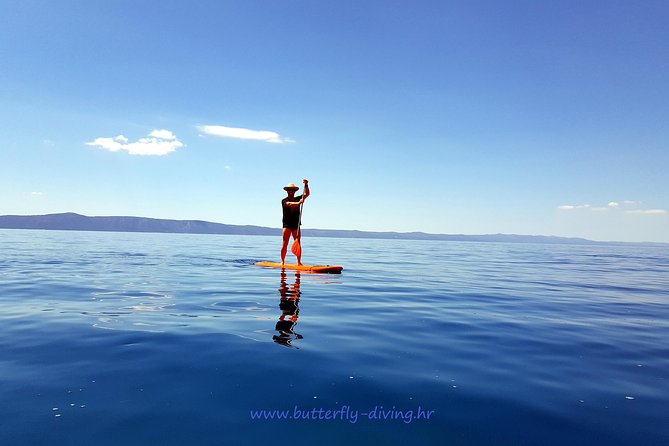 Stand up Paddling Board for 2 Hours Rental - About Your Stay