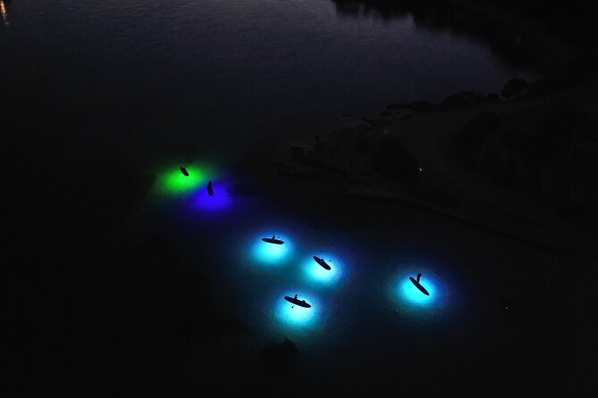 Stand up Paddling Under the Stars - Indulging in Local Culinary Delights