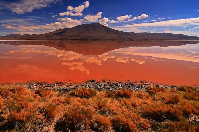 Standar 3 Days Uyuni Salt Flats and Colorfull Lagoons - Inclusions