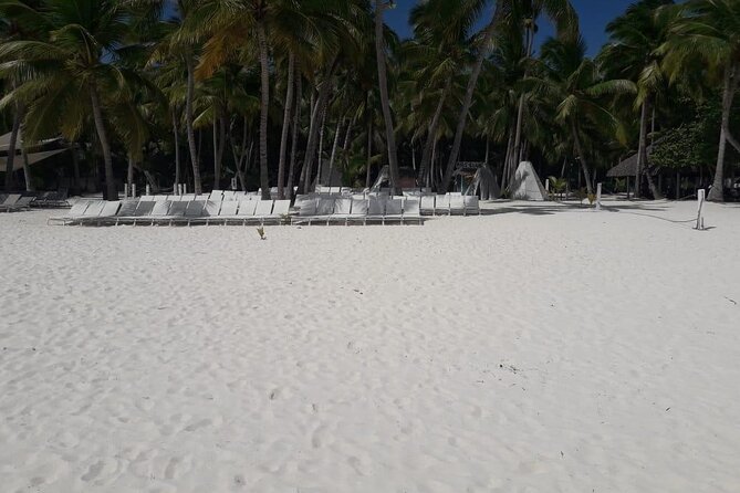 Standard and Premium Private Transfer From Punta Cana Airport to Cabarete - Comparing Standard and Premium Transfers