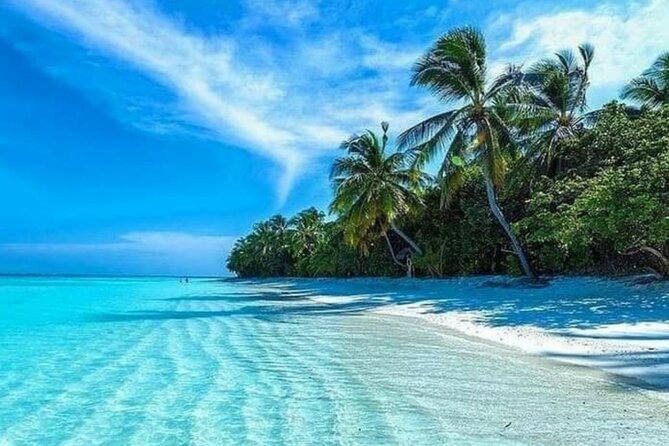 Standard and Premium Transfer From Punta Cana Airport to Las Terrenas - Transportation Details