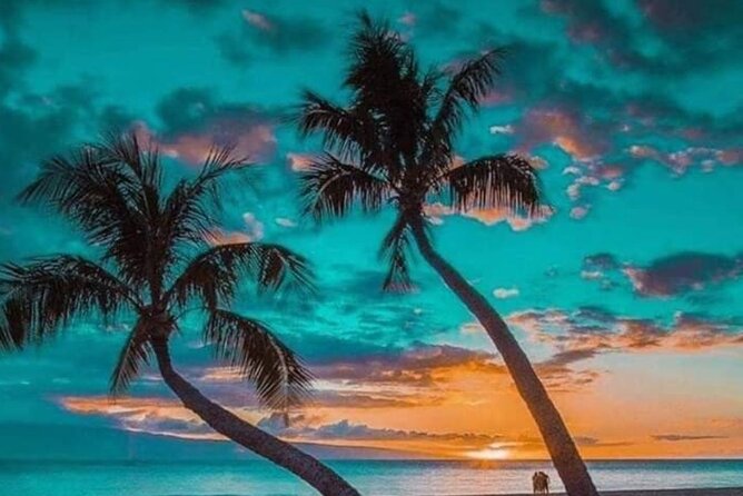 Standard and Premium Transfer From Punta Cana Airport to Las Terrenas - Questions About Your Stay