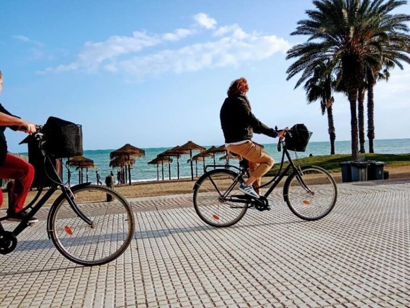Standard Bike Guide Tour in Málaga Andalucía Spain - Key Points