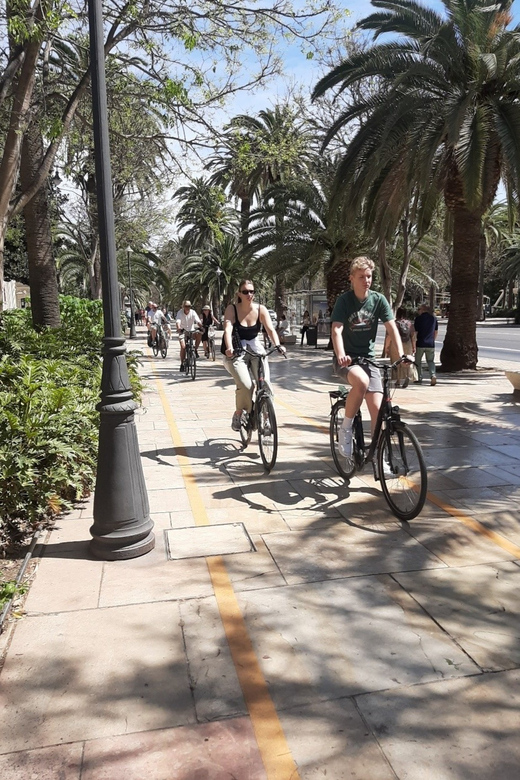Standard Bike Guide Tour in Málaga Andalucía Spain - Booking and Cancellation