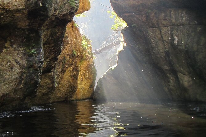 Standard Canyoning Trip in The Crags, South Africa - Exciting Activities and Highlights