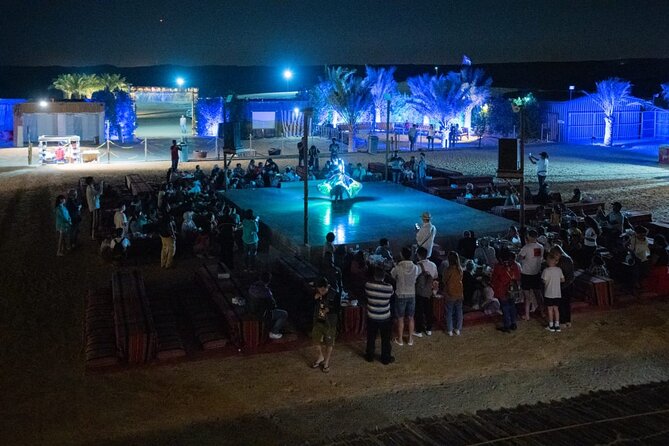 Standard Desert Safari, Camel Ride, BBQ Dinner, Belly Dance Show, Pick & Drop - Music and Dance Performances