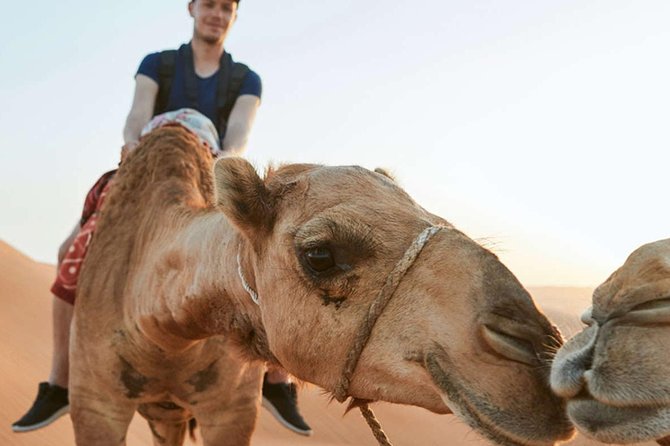 Standard Dubai 4x4 Desert Safari - Sunset & BBQ Dinner - Customization Options