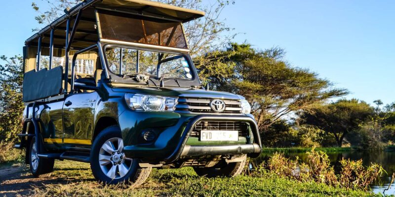 Standard Kruger Park Safari - Safari Overview and Pricing
